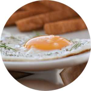 FRIED EGGS — Horizon Ibiza