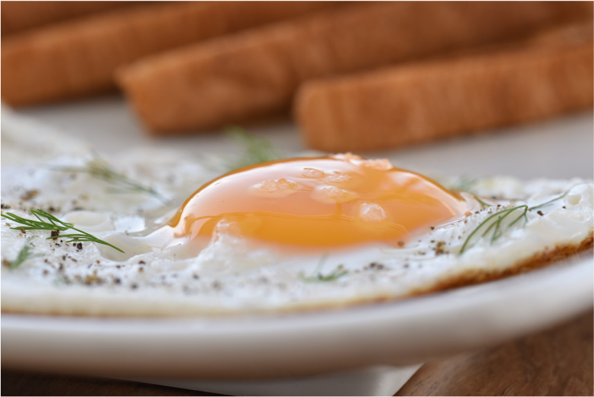 horizon-ibiza-desayuno-huevos-fritos-con-tostadas-macro Horizon Ibiza