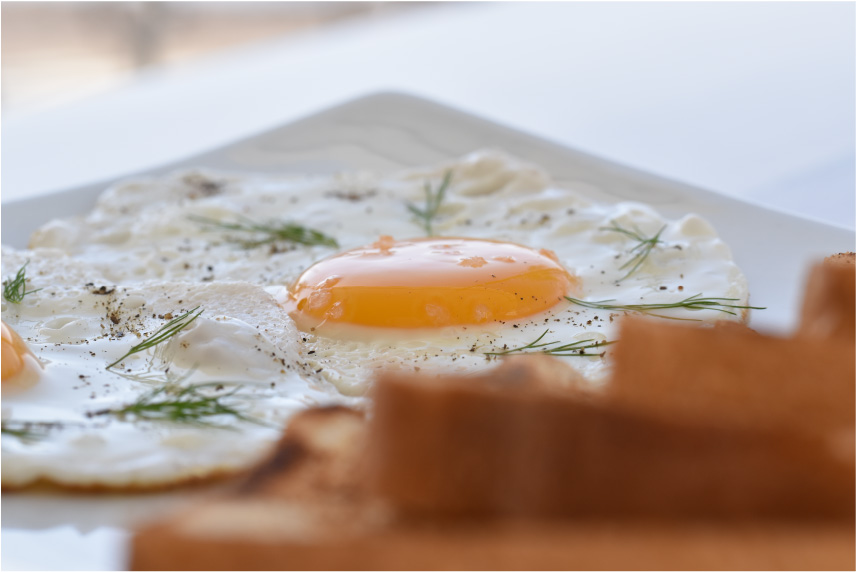 horizon-ibiza-desayuno-huevos-fritos-con-tostadas Horizon Ibiza